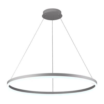 Brilagi - LED Dimmelhető kábelre függesztett csillár CIRCLE LED/55W/230V 3000-6500K átm. 80 cm fehér + távirányító