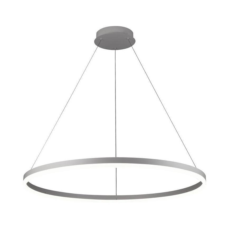 Brilagi - LED Dimmelhető kábelre függesztett csillár CIRCLE LED/55W/230V 3000-6500K átm. 80 cm fehér + távirányító