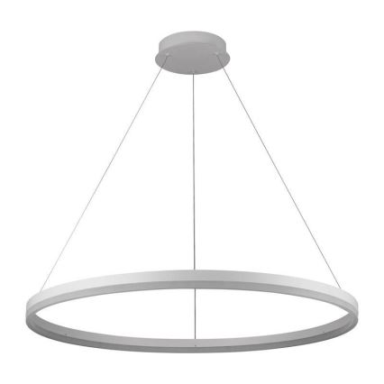 Brilagi - LED Dimmelhető kábelre függesztett csillár CIRCLE LED/55W/230V 3000-6500K átm. 80 cm fehér + távirányító