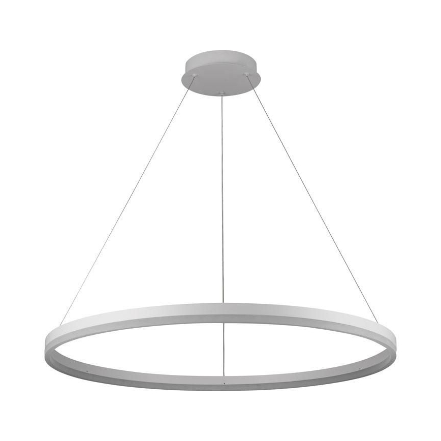 Brilagi - LED Dimmelhető kábelre függesztett csillár CIRCLE LED/55W/230V 3000-6500K átm. 80 cm fehér + távirányító