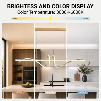 BRILAGI - LED dimmelhető csillár kábellel SIGNATURE LED/50W/230V 3000-6000K 120 cm arany + távirányító