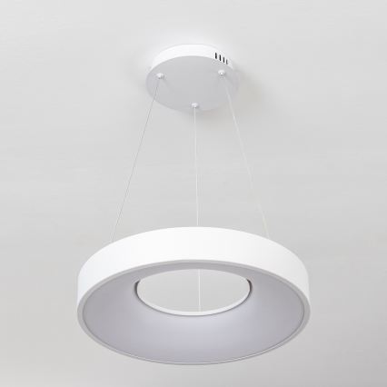 Brilagi - LED dimmelhető kábeles csillár FALCON II LED/67W/230V 3000–6500K ø 40 cm fehér + távirányító