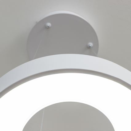 Brilagi - LED dimmelhető kábeles csillár FALCON II LED/67W/230V 3000–6500K ø 40 cm fehér + távirányító