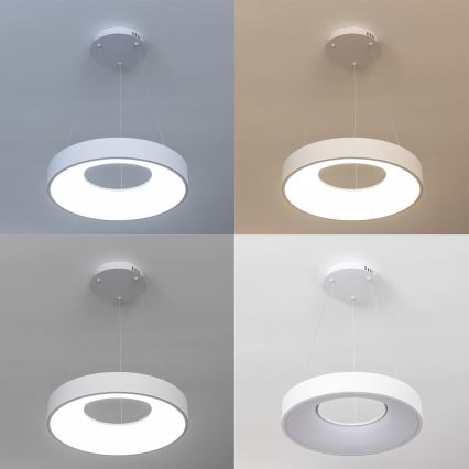 Brilagi - LED dimmelhető kábeles csillár FALCON II LED/67W/230V 3000–6500K ø 40 cm fehér + távirányító