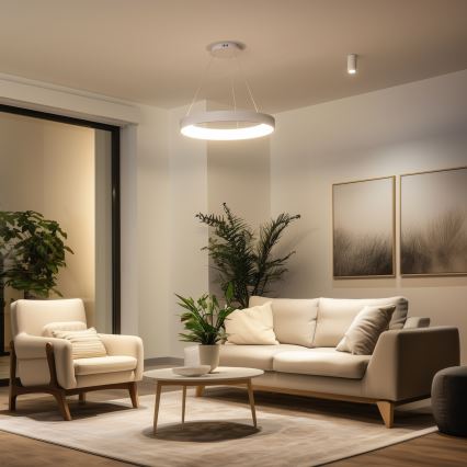Brilagi - LED fényerőszabályozható kábeles csillár FALCON II LED/99W/230V 3000-6500K átm. 60 cm fehér + távirányító