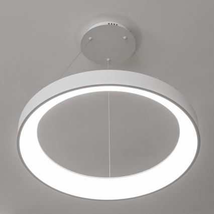 Brilagi - LED fényerőszabályozható kábeles csillár FALCON II LED/99W/230V 3000-6500K átm. 60 cm fehér + távirányító