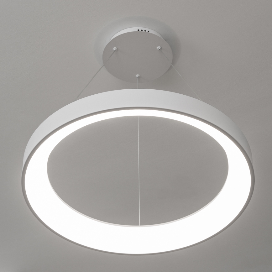 Brilagi - LED fényerőszabályozható kábeles csillár FALCON II LED/99W/230V 3000-6500K átm. 60 cm fehér + távirányító