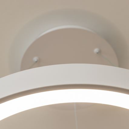 Brilagi - LED fényerőszabályozható kábeles csillár FALCON II LED/99W/230V 3000-6500K átm. 60 cm fehér + távirányító