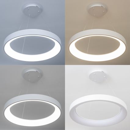Brilagi - LED fényerőszabályozható kábeles csillár FALCON II LED/99W/230V 3000-6500K átm. 60 cm fehér + távirányító