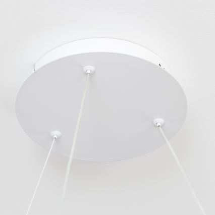 Brilagi - LED fényerőszabályozható kábeles csillár FALCON II LED/99W/230V 3000-6500K átm. 60 cm fehér + távirányító