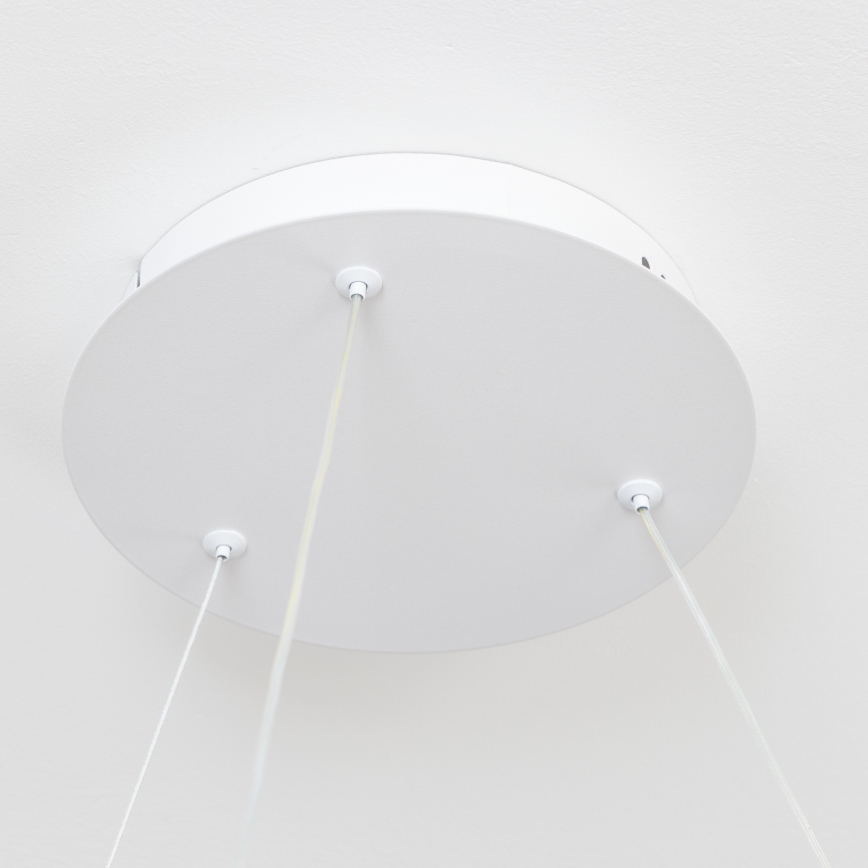 Brilagi - LED fényerőszabályozható kábeles csillár FALCON II LED/99W/230V 3000-6500K átm. 60 cm fehér + távirányító