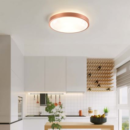 BRILAGI - LED dimmelhető mennyezeti lámpa GLASS POOL DOUBLE LED/48W/230V átmérő 40 cm rézszínű + távirányító