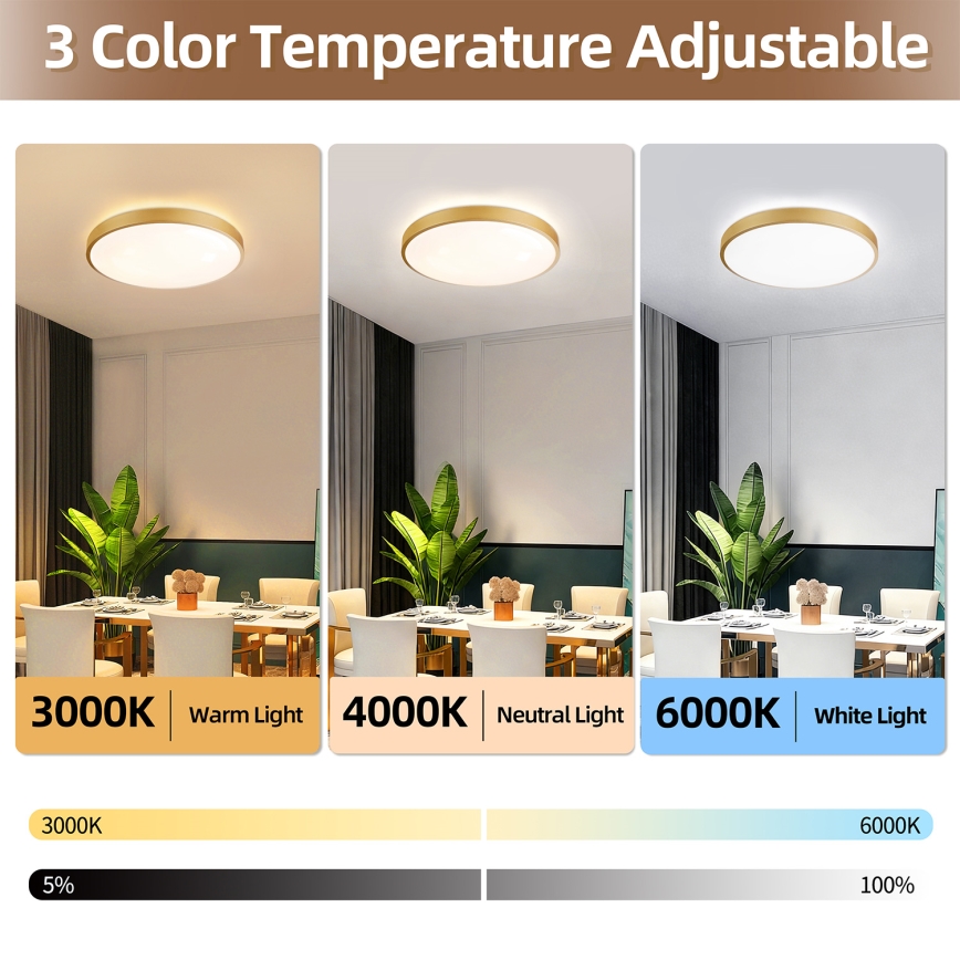 Brilagi - LED fényerőszabályozható mennyezeti lámpatest GLASS POOL DOUBLE LED/60W/230V 3000-6000K 50 cm aranyszínű + távirányító