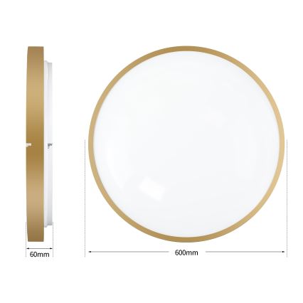 Brilagi - LED dimmelhető mennyezeti lámpa GLASS POOL DOUBLE LED/80W/230V 3000-6000K 60 cm aranyszínű + távirányító