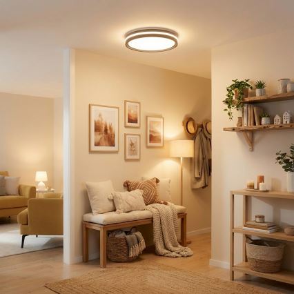 Brilagi - LED fényerőszabályozható mennyezeti lámpa NAOMI LED/48W/230V 3000-6500K átm. 39 cm fekete + távirányító