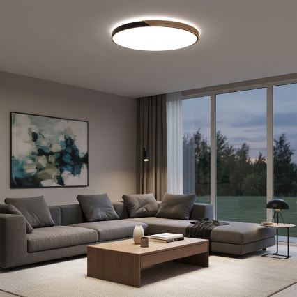 Brilagi - LED dimmelhető mennyezeti lámpatest PILANA LED/72W/230V 3000-6500K tölgy/fekete Ø 80 cm + távirányító