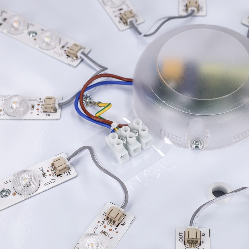 Brilagi - LED dimmelhető mennyezeti lámpatest PILANA LED/72W/230V 3000-6500K tölgy/fekete Ø 80 cm + távirányító