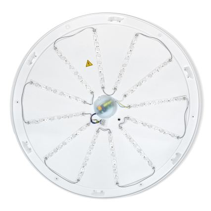 Brilagi - LED dimmelhető mennyezeti lámpatest PILANA LED/72W/230V 3000-6500K tölgy/fekete Ø 80 cm + távirányító