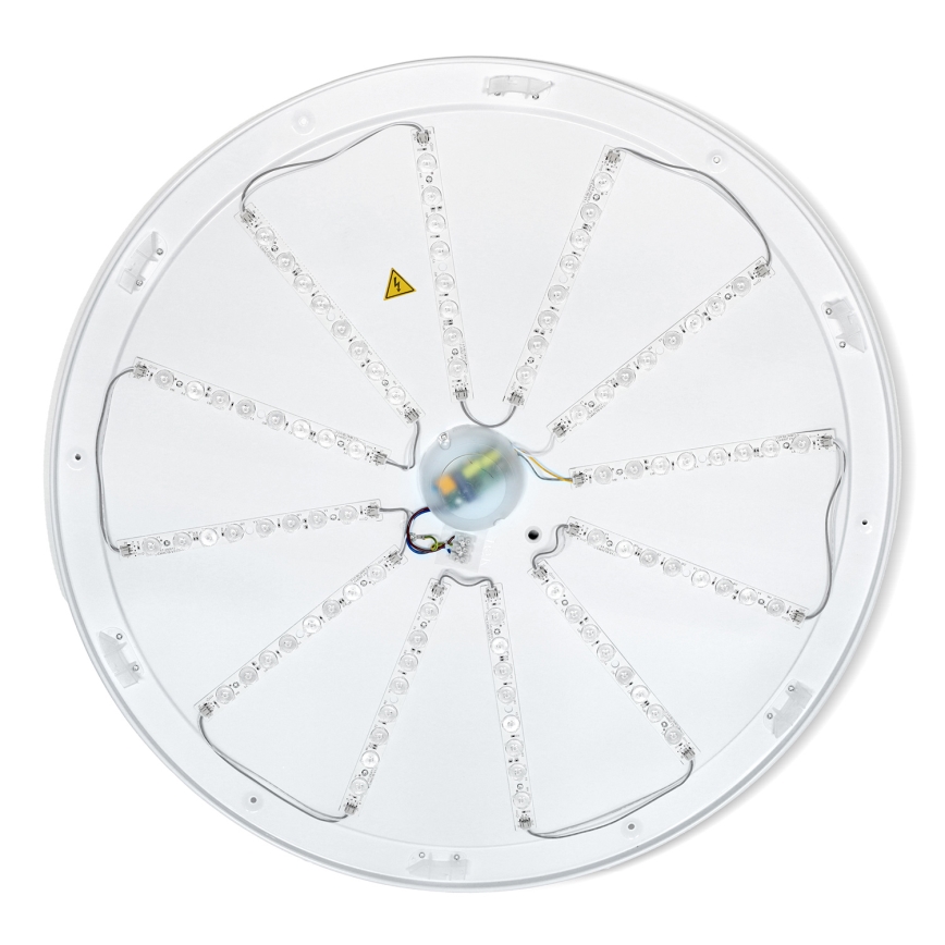 Brilagi - LED dimmelhető mennyezeti lámpatest PILANA LED/72W/230V 3000-6500K tölgy/fekete Ø 80 cm + távirányító