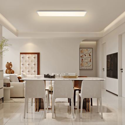 Brilagi - LED dimmelhető mennyezeti lámpa SLIMFRAME LED/58W/230V 120x30 cm 3000-6000K fehér + távirányító