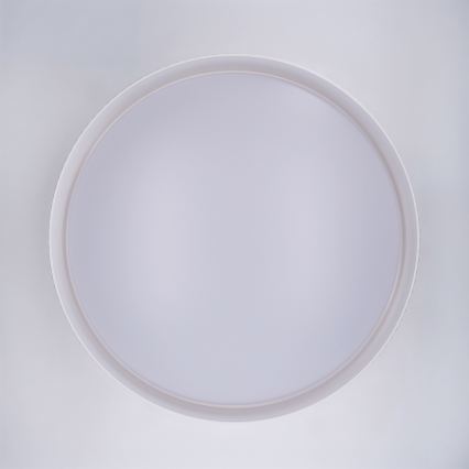 Brilagi - LUCIA dimmelhető LED/60W/230V 3000-6500K átmérő 59 cm fehér + távirányító