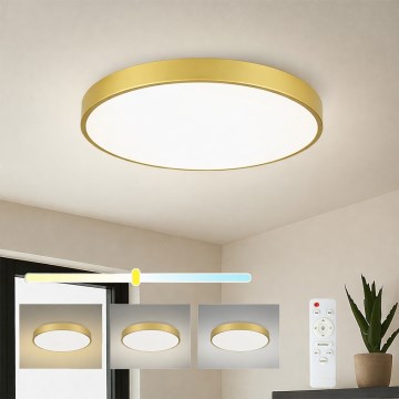 Brilagi - Dimmelhető LED mennyezeti lámpa POOL LED/60W/230V 3000-6000K, átmérő 60 cm, arany + távirányító