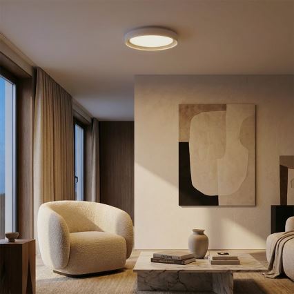 Brilagi - WALDO dimmelhető LED mennyezeti lámpa LED/48W/230V 3000-6500K Ø 40 cm fehér/ezüst + távirányító