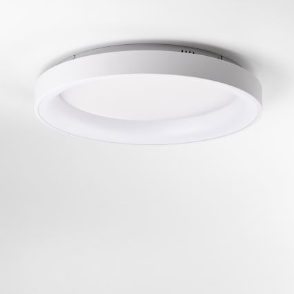 Brilagi - LED, fényerőszabályozható mennyezeti lámpatest FALCON II LED/99W/230V 3000-6500K Ø 60 cm fehér + távirányító
