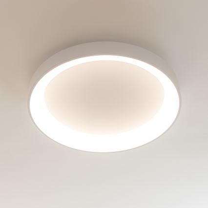Brilagi - LED, fényerőszabályozható mennyezeti lámpatest FALCON II LED/99W/230V 3000-6500K Ø 60 cm fehér + távirányító