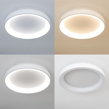 Brilagi - LED, fényerőszabályozható mennyezeti lámpatest FALCON II LED/99W/230V 3000-6500K Ø 60 cm fehér + távirányító