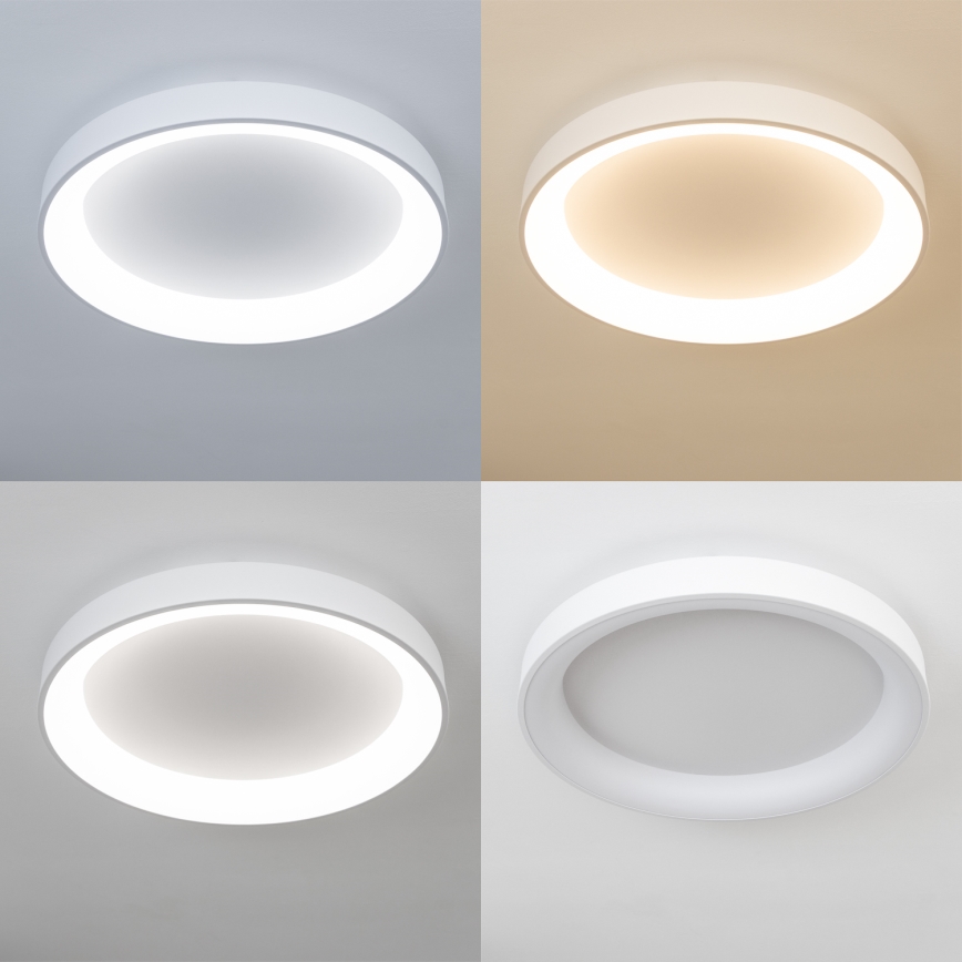 Brilagi - LED, fényerőszabályozható mennyezeti lámpatest FALCON II LED/99W/230V 3000-6500K Ø 60 cm fehér + távirányító