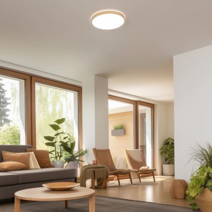 Brilagi - Dimmelhető LED mennyezeti lámpa PINE LED/24W/230V fa átm. 42 cm 3000-6500K + távirányító