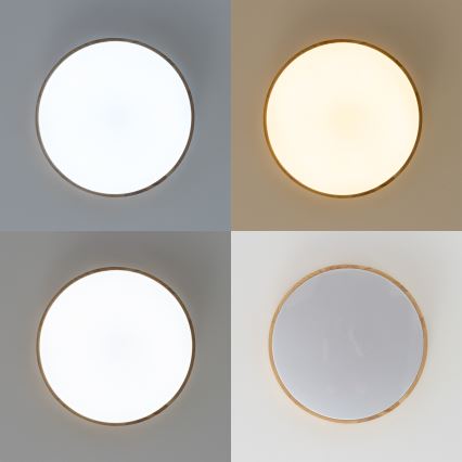 Brilagi - Dimmelhető LED mennyezeti lámpa PINE LED/24W/230V fa átm. 42 cm 3000-6500K + távirányító