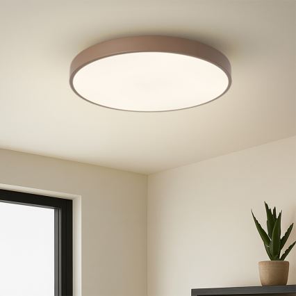 Brilagi - POOL LED dimmelhető mennyezeti lámpa LED/60W/230V 3000-6000K átm. 50 cm barna + távirányító