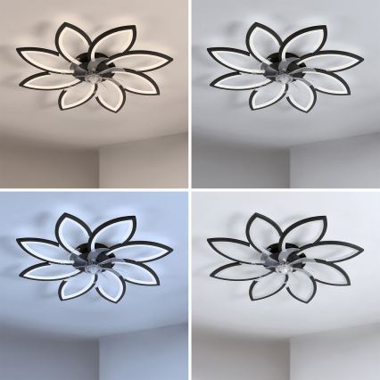 Brilagi - LED dimmelhető mennyezeti ventilátor LED/43W/230V 3000-6500K, átm. 90 cm, fekete + távirányító