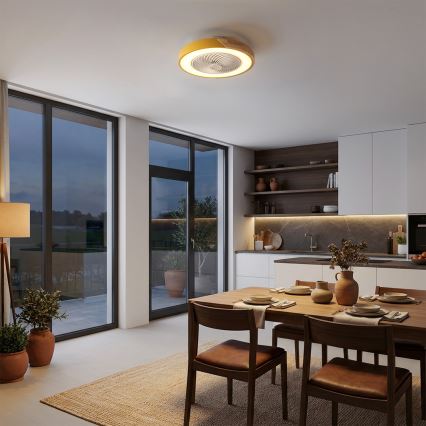 Brilagi - LED dimmelhető mennyezeti lámpa ventilátorral LED/38W/230V 3000-6500K átm. 50 cm arany/tölgy + távirányító