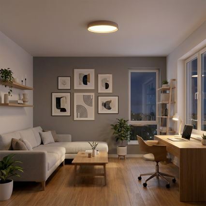 Brilagi - LUCIA LED dimmelhető mennyezeti lámpa LED/60W/230V 3000-6500K átmérő 59 cm taupe + távirányító
