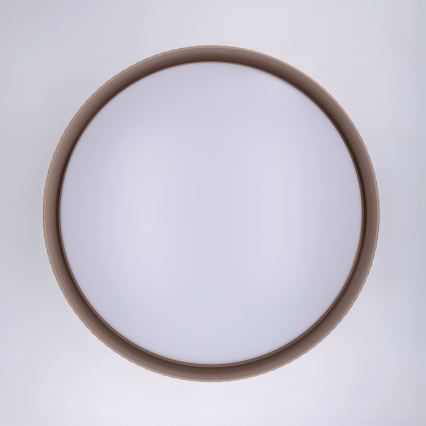 Brilagi - LUCIA LED dimmelhető mennyezeti lámpa LED/60W/230V 3000-6500K átmérő 59 cm taupe + távirányító