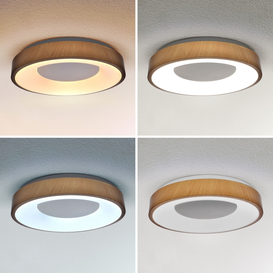 Brilagi - LED dimmelhető mennyezeti lámpa DORIA LED/48W/230V 3000-6500K átm. 39 cm + távirányító