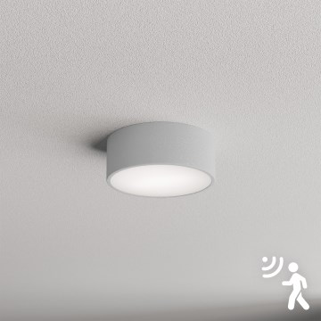 Brilagi - Érzékelős mennyezeti lámpa CLARE 1xE27/40W/230V átm. 20 cm szürke
