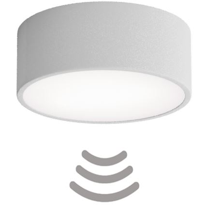 Brilagi - Érzékelős mennyezeti lámpa CLARE 1xE27/40W/230V átm. 20 cm szürke