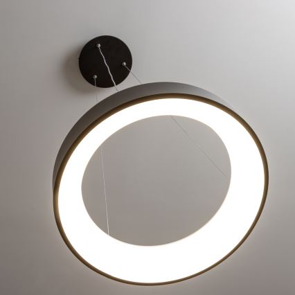 Brilagi - LED dimmelhető függeszték kábelre FALCON LED/80W/230V 3000-6500K átm. 60 cm fekete + távirányító