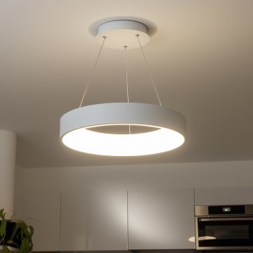 Brilagi - FALCON LED dimmelhető függeszték kábelen, 80 W, 230 V, 3000–6500 K, Ø 60 cm, fehér + távirányító