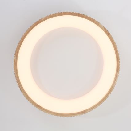 Brilagi - LED mennyezeti lámpa FALCON WOOD MODERN LED/40W/230V 3000/4000/6000K átm. 60 cm fa