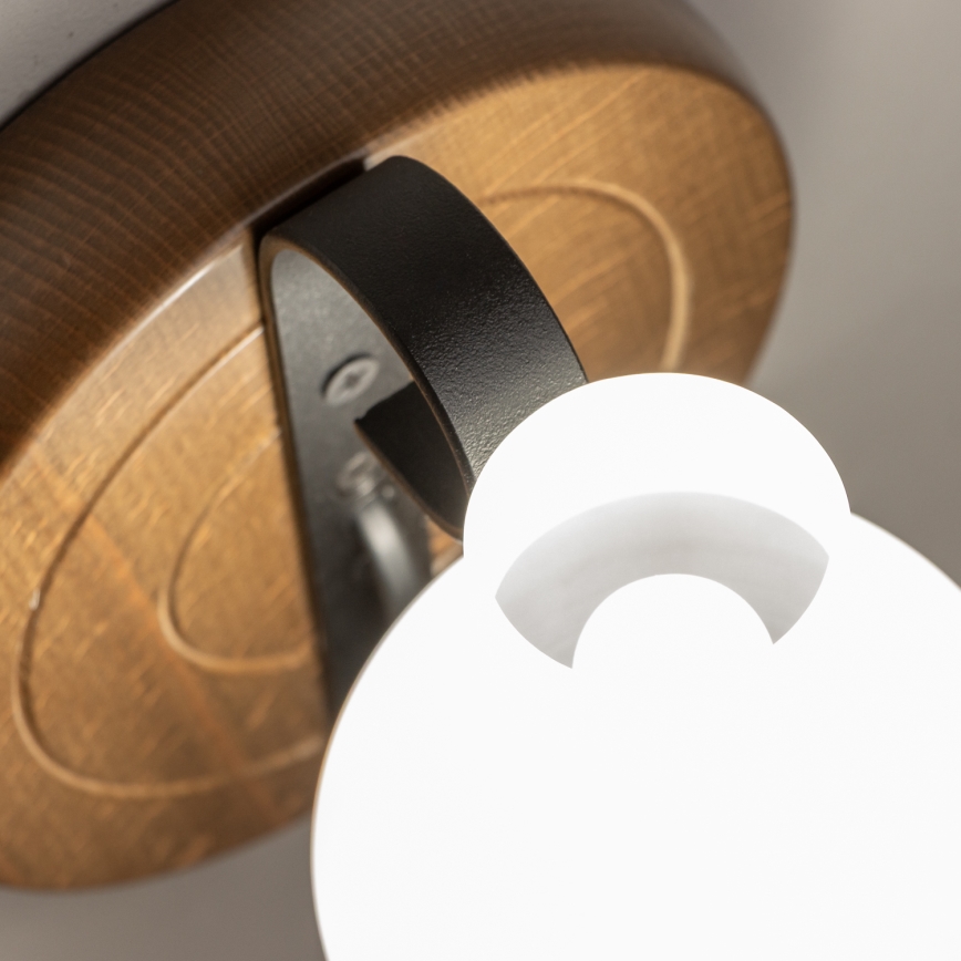 Brilagi - Fali lámpa ROATA APLICA 1xE14/40W/230V bükkfa/dió