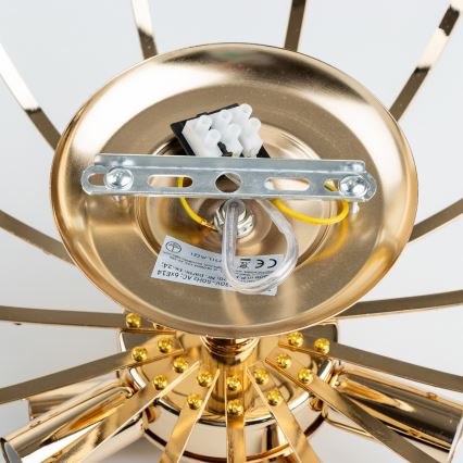 Brilagi - Felületre szerelhető csillár CRYSTAL 6xE14/60W/230V arany