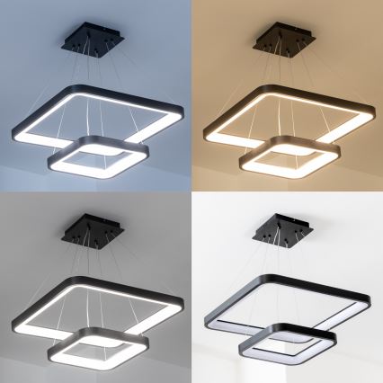 Brilagi - LED dimmelhető kábeles csillár FALCON SLIM LED/78W/230V 3000-6500K 50x50 cm fekete + távirányító