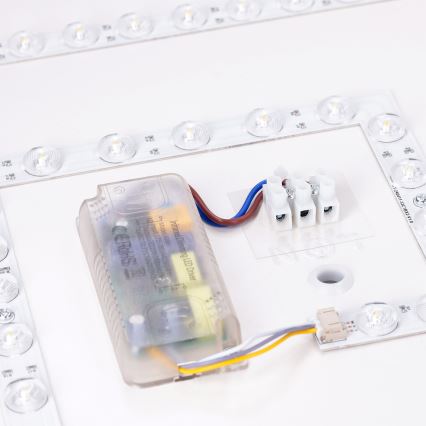 Brilagi - LED dimmelhető mennyezeti lámpa PILANA LED/48W/230V 3000-6500K tölgy/fehér 42x42 cm + távirányító
