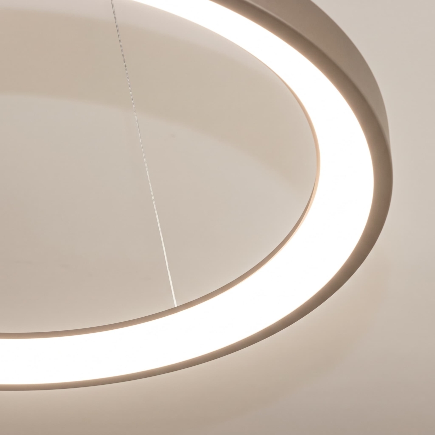BRILAGI - dimmelhető LED kábeles csillár FALCON SLIM LED/42W/230V 3000-6500K Ø 50 cm bézs + távirányítóval