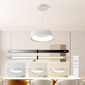 Brilagi - Fényerőszabályozható LED kábelre függesztett csillár FALCON MODERN LED/30W/230V 3000-6000K átmérő 40 cm fehér + távirányító